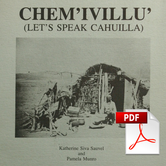 Chem'ivillu' - Book Digital Download